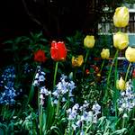 Sixth image from the photoset 'untitled (xli)'.