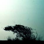 Eighth image from the photoset 'untitled (xli)'.