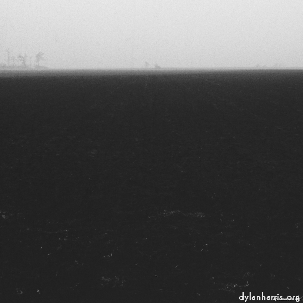 Image: Image 'fen (v) 3'.