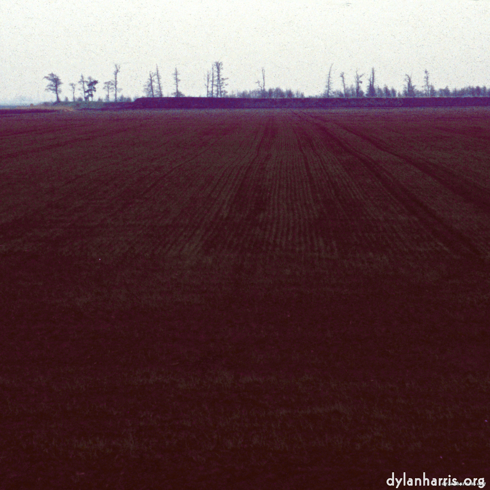 Image: Image 'fen (v) 5'.