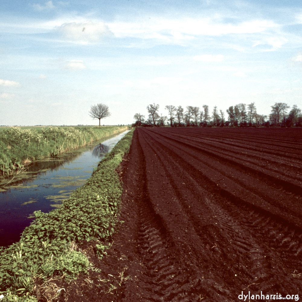 Image: Image 'fen (v) 6'.