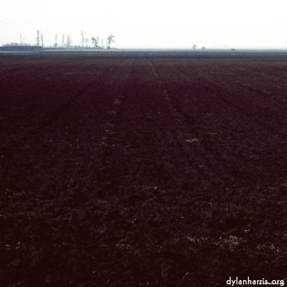 Image: Image 'fen (v) 7'.