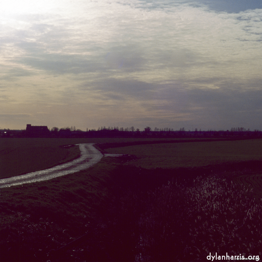 Image: Image 'fen (v) 8'.