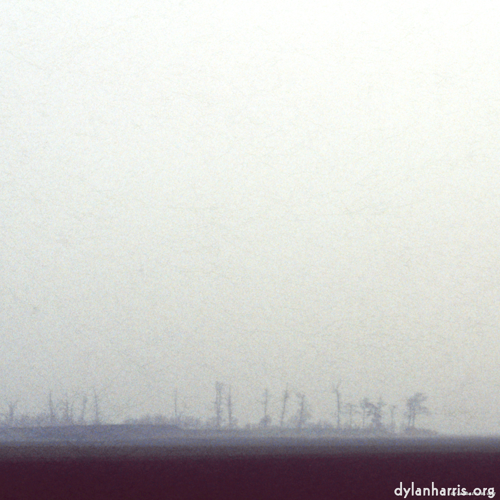 Image: Image 'fen (v) 9'.