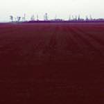 Image: Fifth image from the photoset 'fen (v) '.