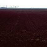 Image: Seventh image from the photoset 'fen (v) '.