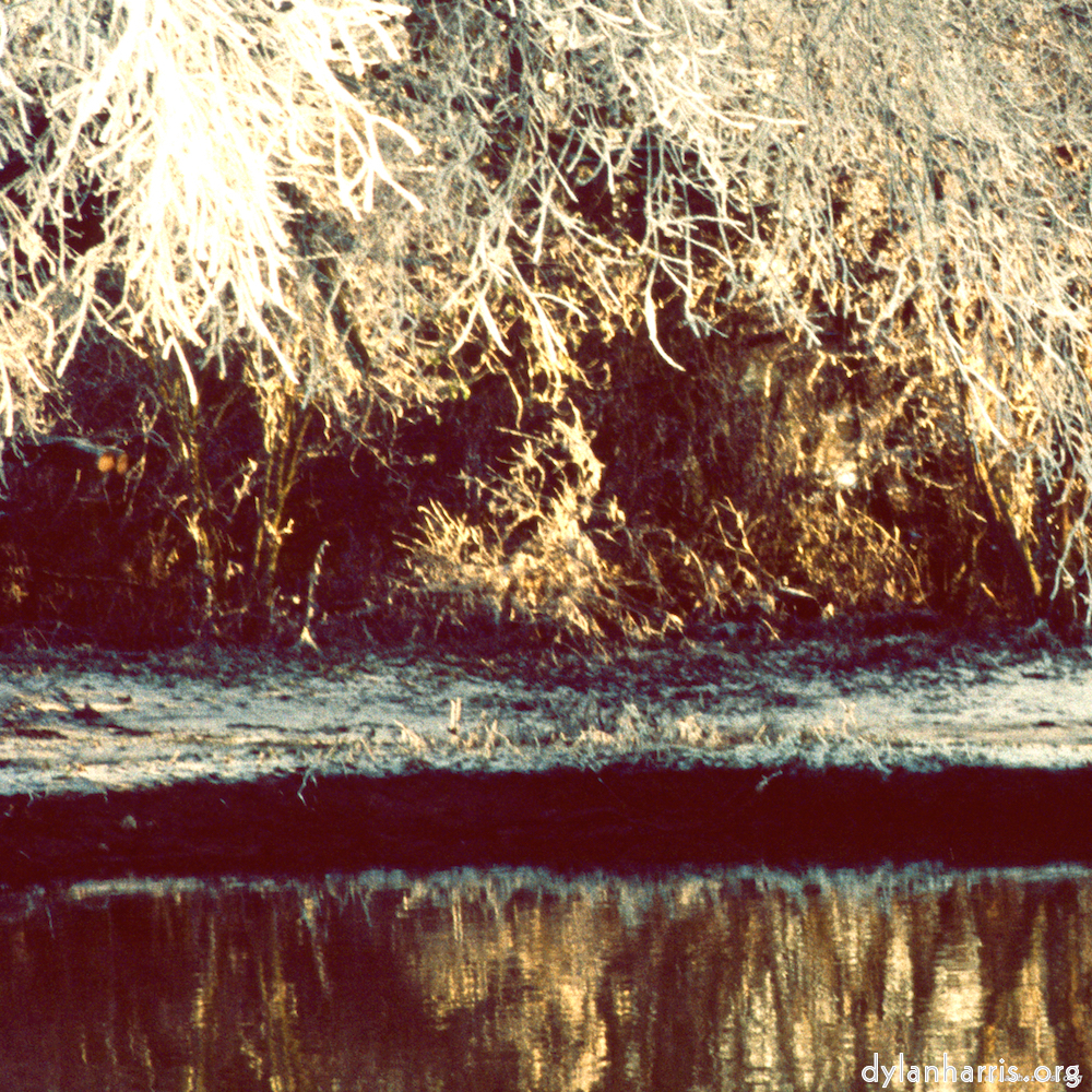 image: This is &lsquo;huntingdonshire (i) 5&rsquo;.