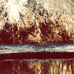 image: Image from the photoset &lsquo;huntingdonshire (i) &rsquo;.