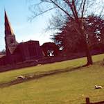 image: Image from the photoset &lsquo;huntingdonshire (i) &rsquo;.