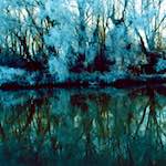 image: Image from the photoset &lsquo;huntingdonshire (i) &rsquo;.