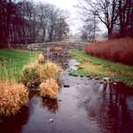 Second image from the photoset 'barnwell (i)'.