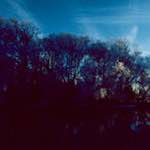 Second image from the photoset 'st. neots park (v)'.