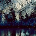 Fourth image from the photoset 'st. neots park (v)'.