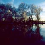 Fifth image from the photoset 'st. neots park (v)'.