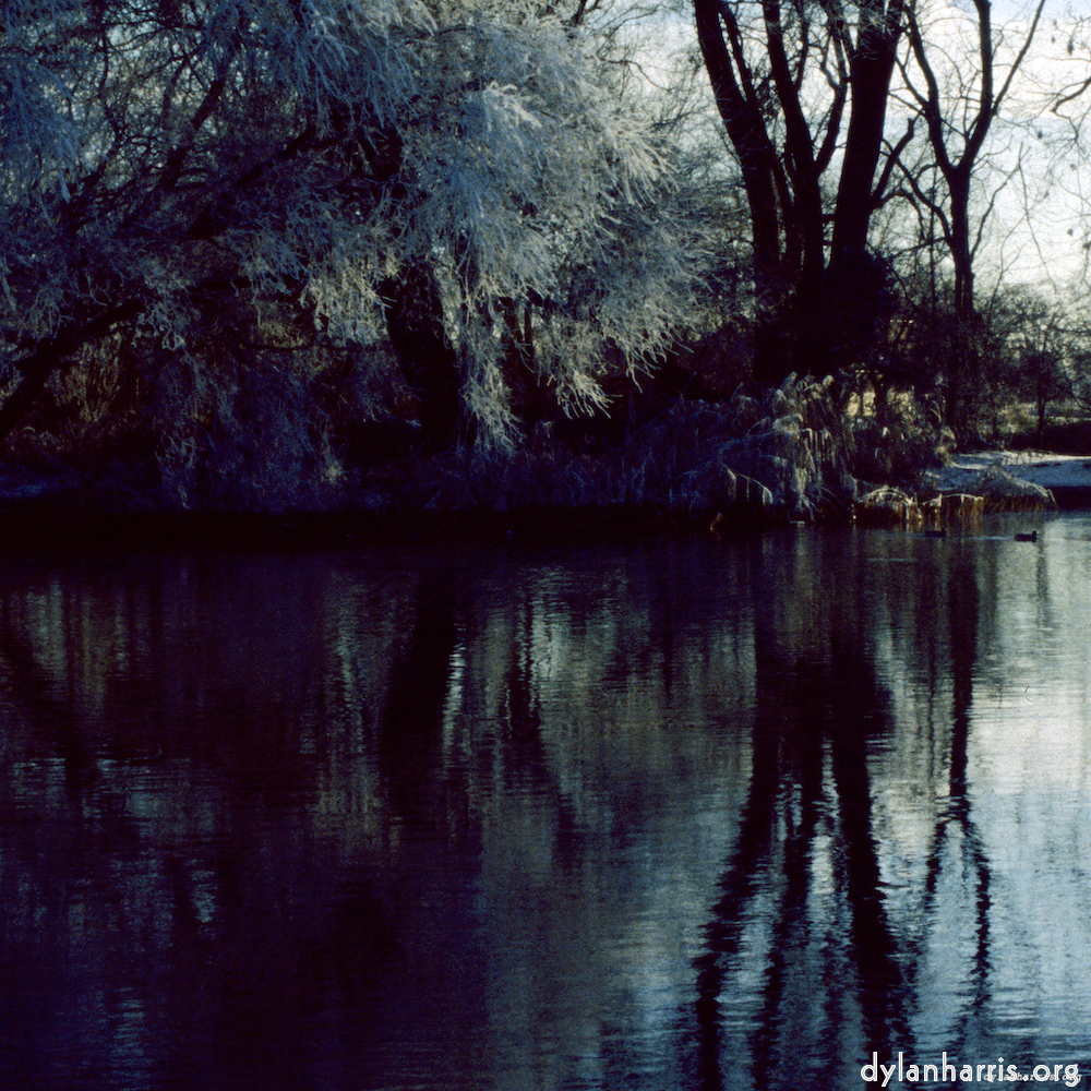 Image 'st. neots park (vi) 2'.