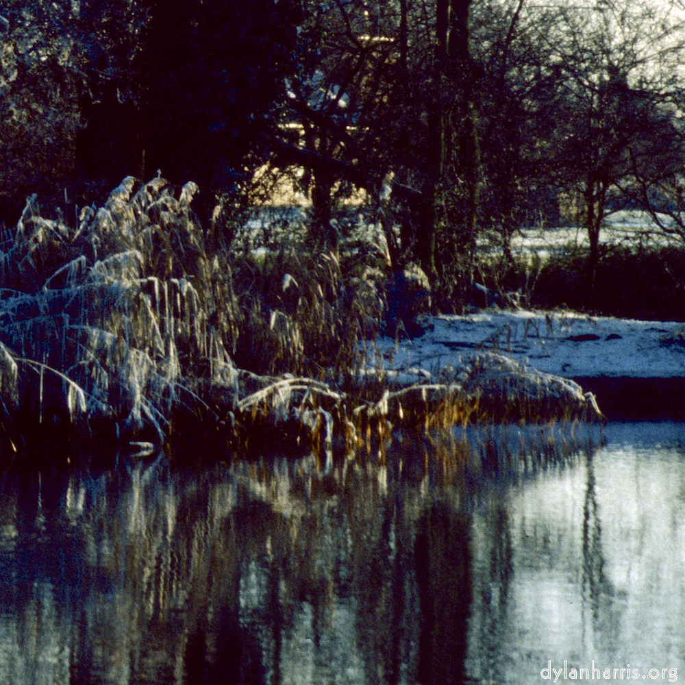 Image 'st. neots park (vi) 4'.