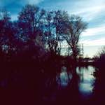 First image from the photoset 'st. neots park (vi)'.