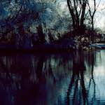 Second image from the photoset 'st. neots park (vi)'.