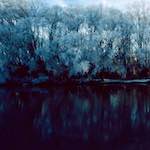 Third image from the photoset 'st. neots park (vi)'.