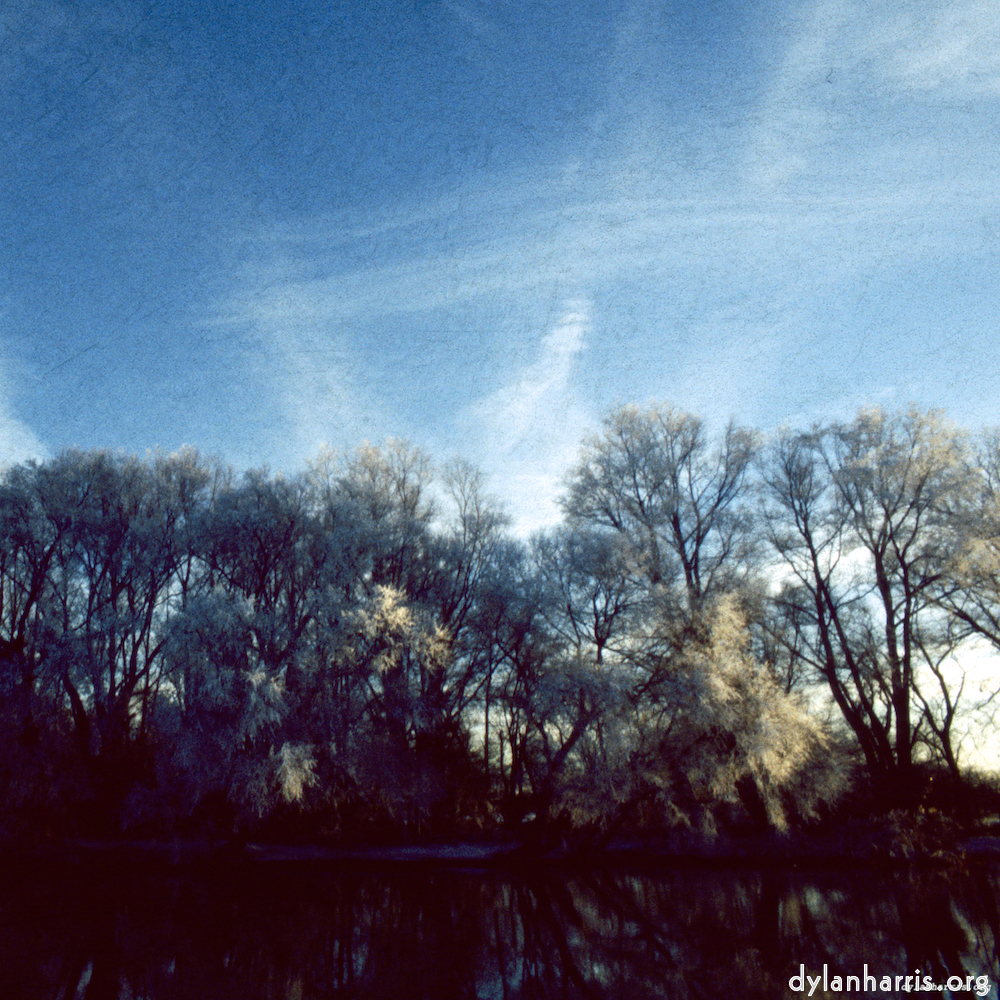 Image 'st. neots park (vii) 2'.