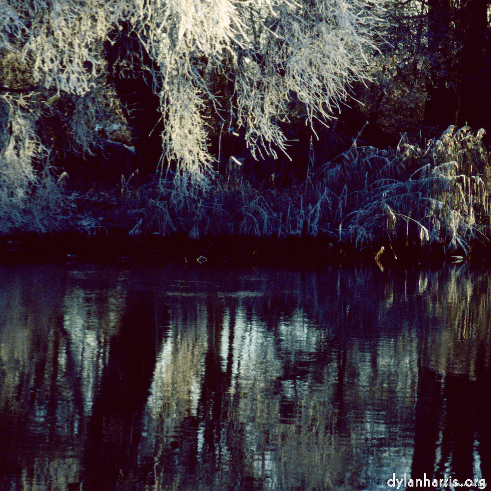 Image 'st. neots park (vii) 3'.