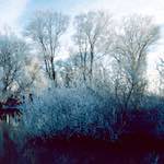 First image from the photoset 'st. neots park (vii)'.