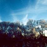 Second image from the photoset 'st. neots park (vii)'.