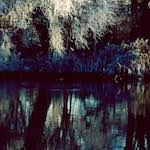 Third image from the photoset 'st. neots park (vii)'.