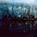 Fifth image from the photoset 'st. neots park (vii)'.