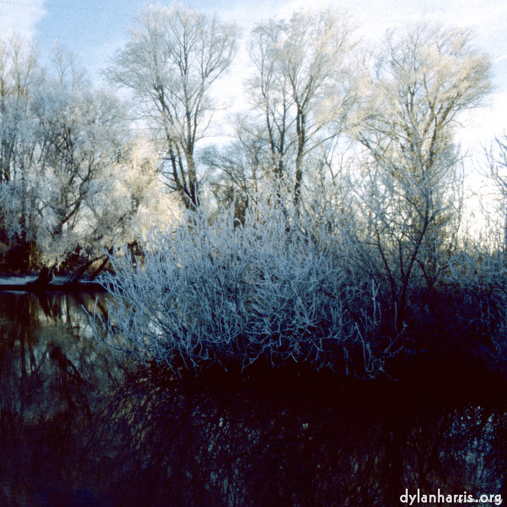 Image: Image 'st. neots park (viii) 1'.