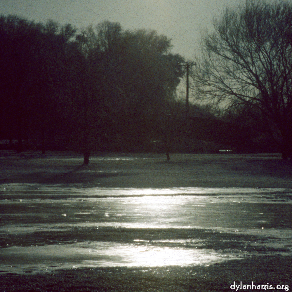 Image: Image 'st. neots park (viii) 4'.