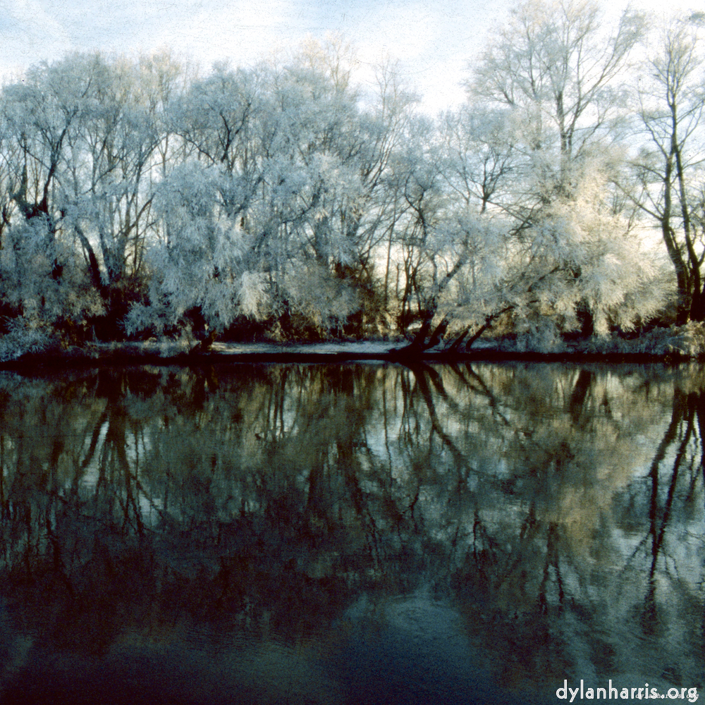 Image: Image 'st. neots park (viii) 5'.