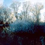 Image: First image from the photoset 'st. neots park (viii)'.