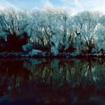 Image: Third image from the photoset 'st. neots park (viii)'.