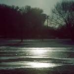 Image: Fourth image from the photoset 'st. neots park (viii)'.