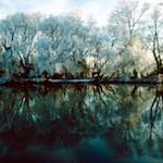 Image: Fifth image from the photoset 'st. neots park (viii)'.