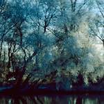 First image from the photoset 'st. neots park (ix)'.