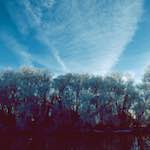 Second image from the photoset 'st. neots park (ix)'.