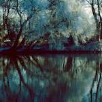 Fourth image from the photoset 'st. neots park (ix)'.