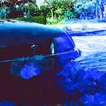 image: Image from the photoset &lsquo;damage (ii)&rsquo;.