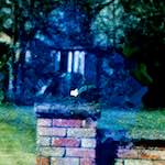 image: Image from the photoset &lsquo;damage (ii)&rsquo;.