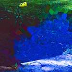 image: Image from the photoset &lsquo;damage (iii)&rsquo;.