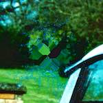 image: Image from the photoset &lsquo;damage (iii)&rsquo;.