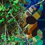 image: Image from the photoset &lsquo;damage (iv)&rsquo;.