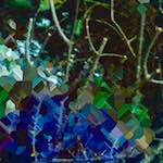 image: Image from the photoset &lsquo;damage (iv)&rsquo;.