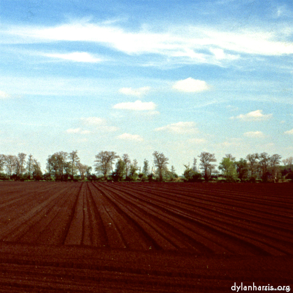 image: This is &lsquo;fen (vi) 2&rsquo;.