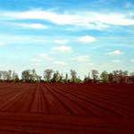 image: Image from the photoset &lsquo;fen (vi) &rsquo;.