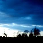 First image from the photoset 'fen (vii)'.