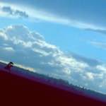 Fourth image from the photoset 'fen (vii)'.