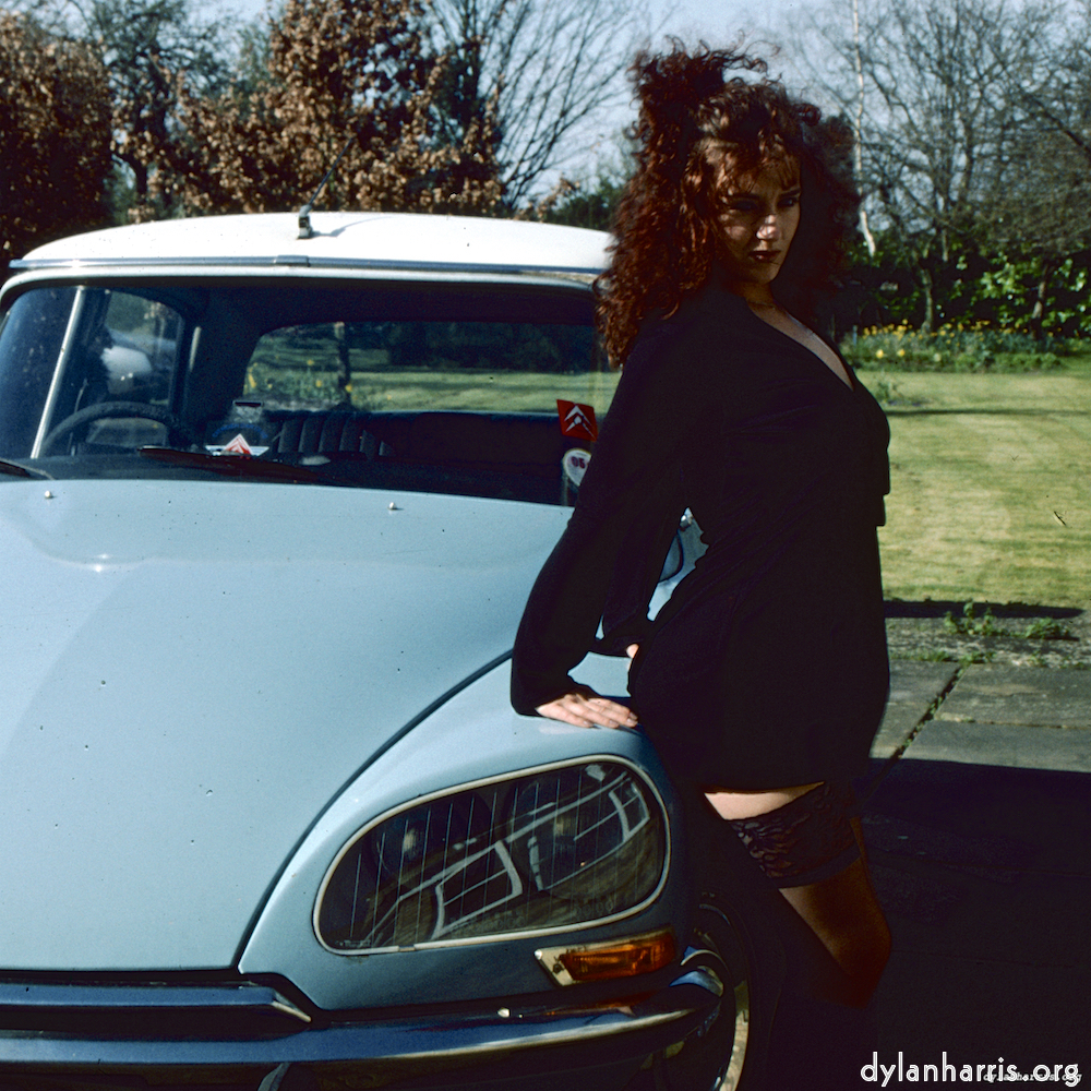 Image 'kerry (xxxvi) 1'.